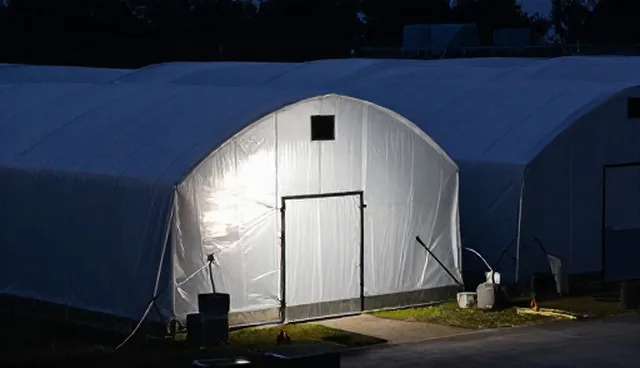 种苗供应中的技术难点与使用建议